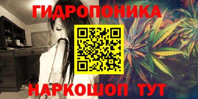 прущие грибы Партизанск