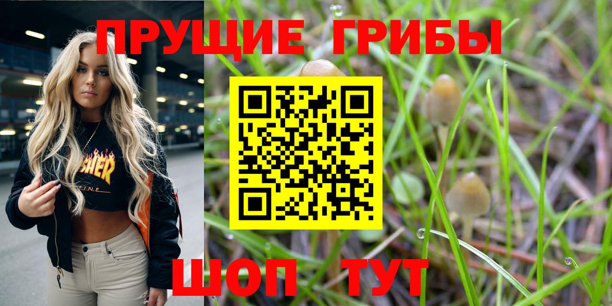 Сарапул  магазин  наркотиков  Вход с VPN  Псилоцибиновые грибы Cubensis 